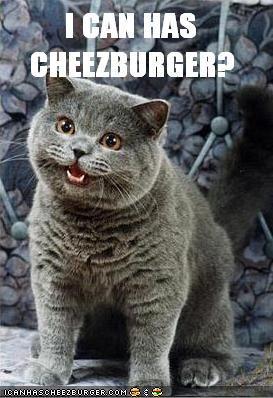 I Can Has Cheezburger - original LOLcat meme showing a British Shorthair cat asking for a cheeseburger