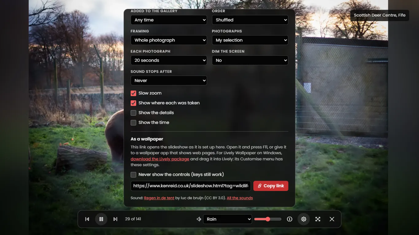 The slideshow's settings panel open over a photograph of a brown bear in a grassy enclosure, scrolled down to an As a wallpaper section with the slideshow's link in a box, a red Copy link button and a line crediting the rain recording to luc de bruijn under CC BY 3.0