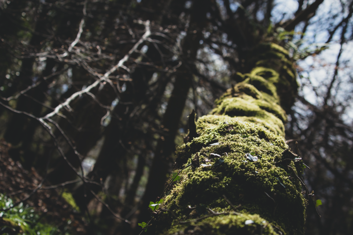 Abstract data visualization representing the start of a project