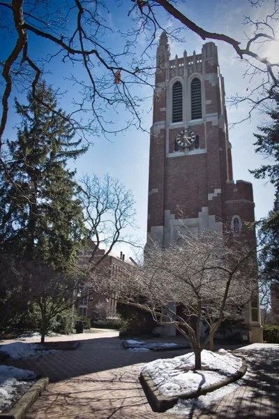 Beaumont Tower at Michigan State University, red brick among bare trees and pines, with snow on the ground