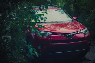 A red car parked behind a screen of dark green leaves