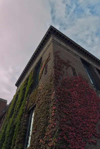 Red and green ivy over the brick corner of an old University of Michigan building, under a pale sky